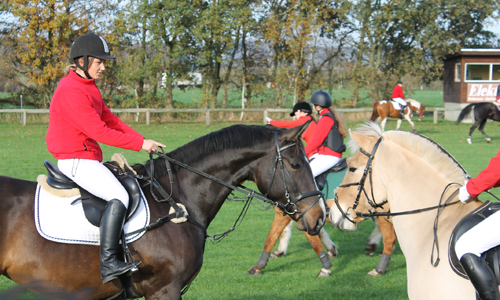 Karina, jagt på Kallehavegård 2014.