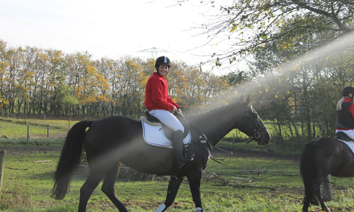 Karina, jagt på Kallehavegård 2014.